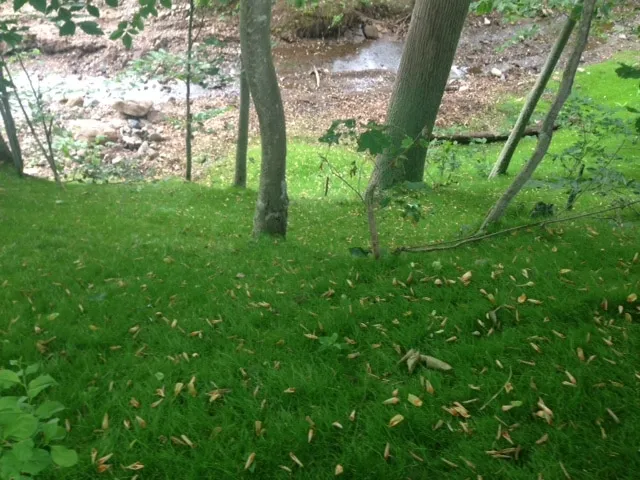 Erosion Control