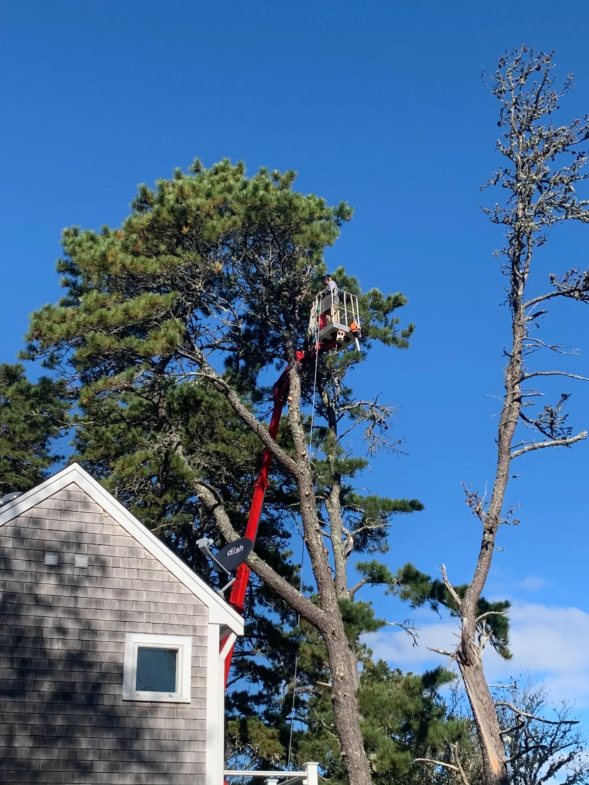 work photo from Google listing