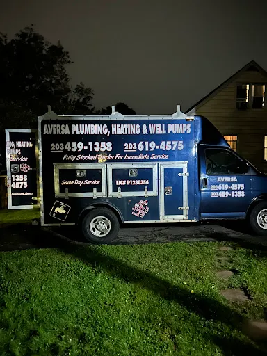 Aversa Plumbing-Well Pump Services work photo