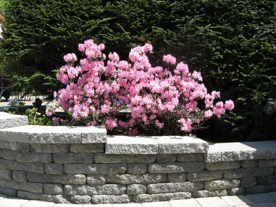 work photo from monettelandscaping.com