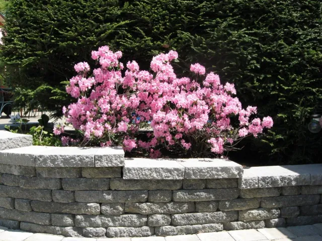work photo from monettelandscaping.com