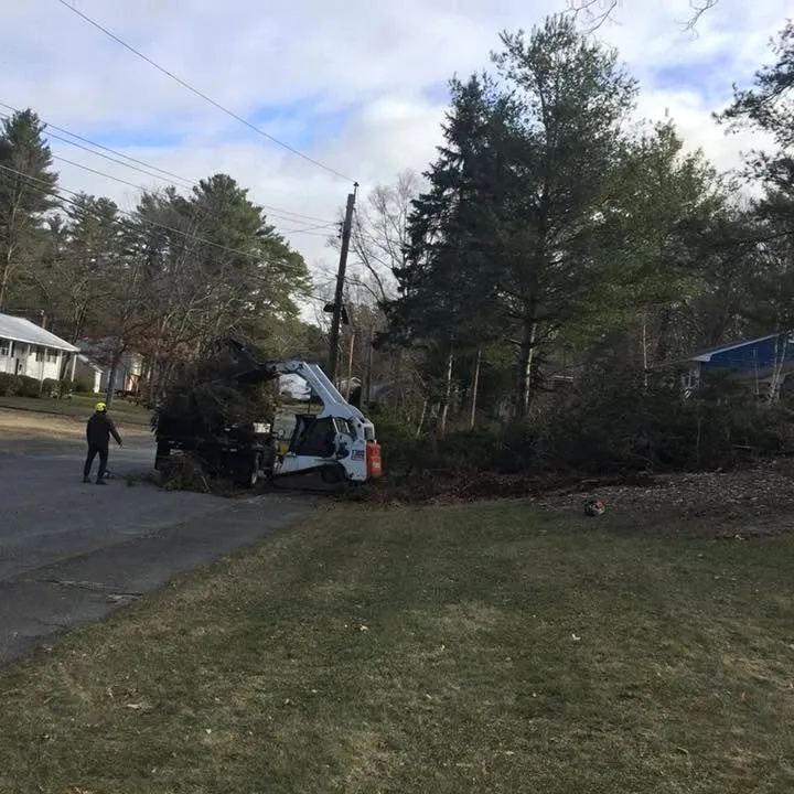 Mario's Lawncare researched project photo