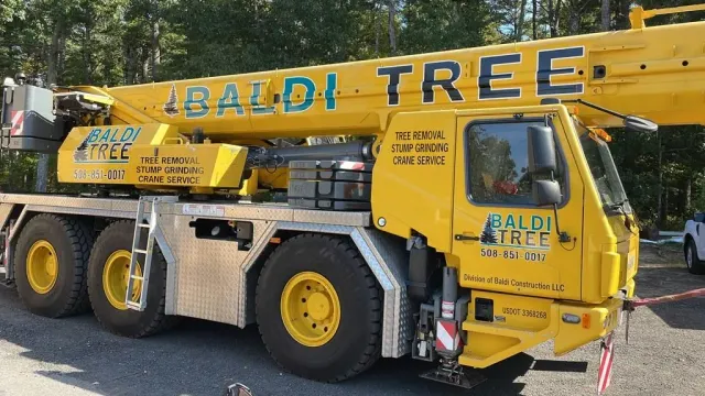 Crane Service