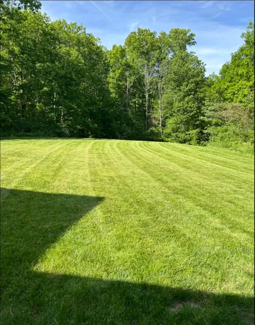 Lawn Care & Maintenance