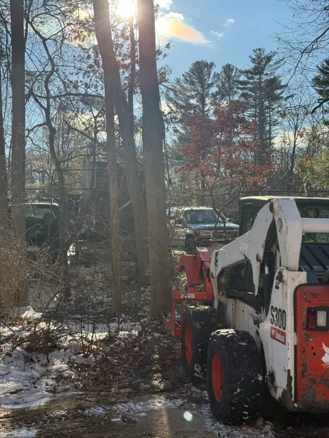 Tico Tree Service researched project photo