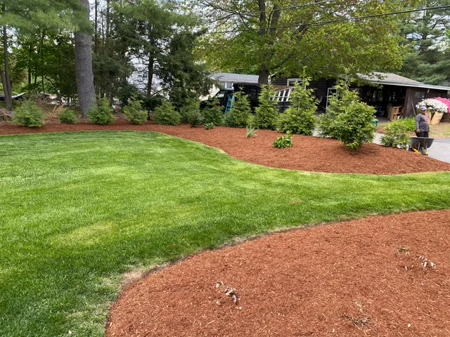 Orozco Landscaping Company work photo