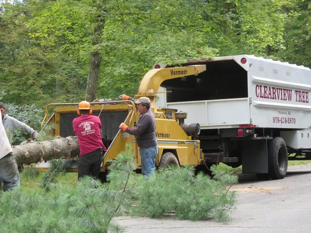 Clearview Tree Service work photo