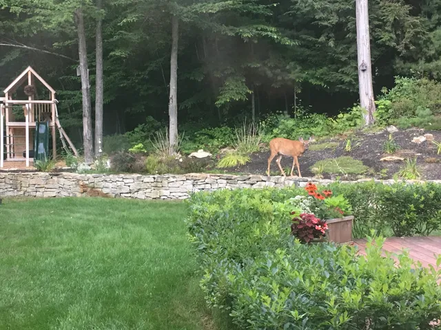 Purnell Brothers Landscaping LLC work photo