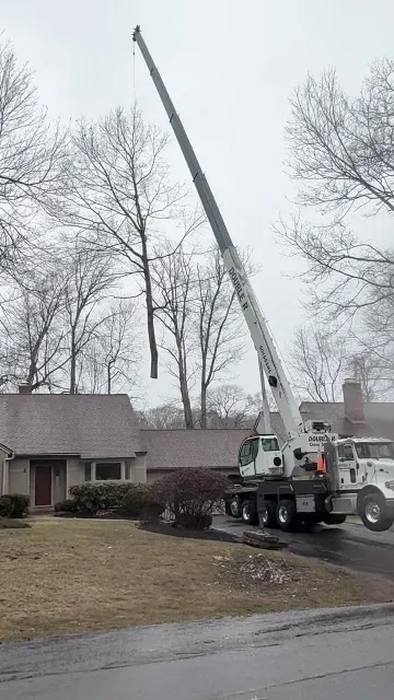 Crane truck lifting a long pole over a suburban house on a rainy day