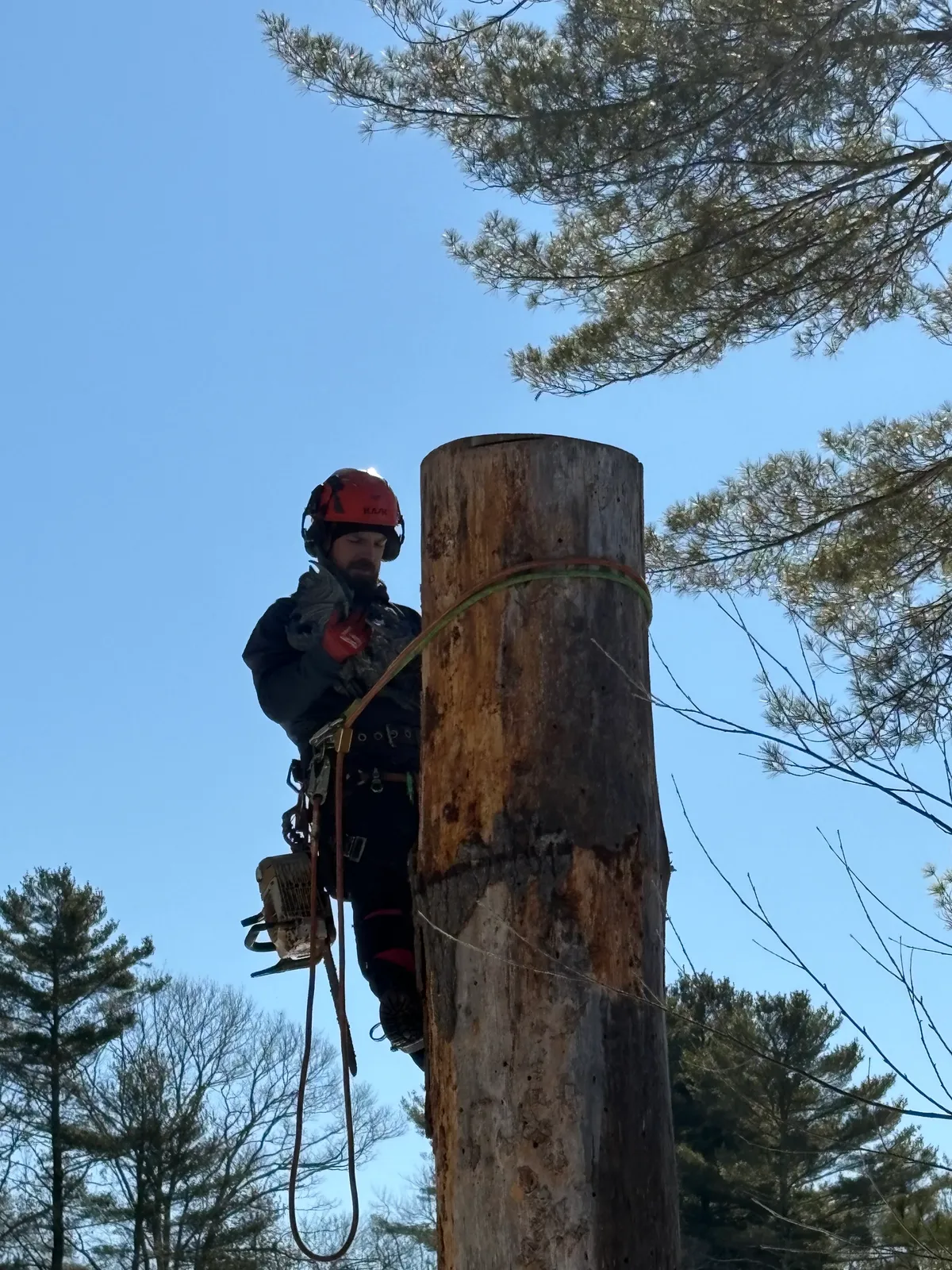 work photo from Google listing