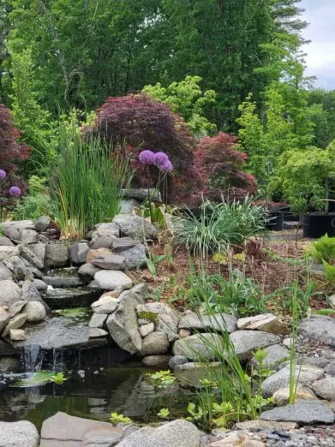 work photo from rockcrestgardens.com