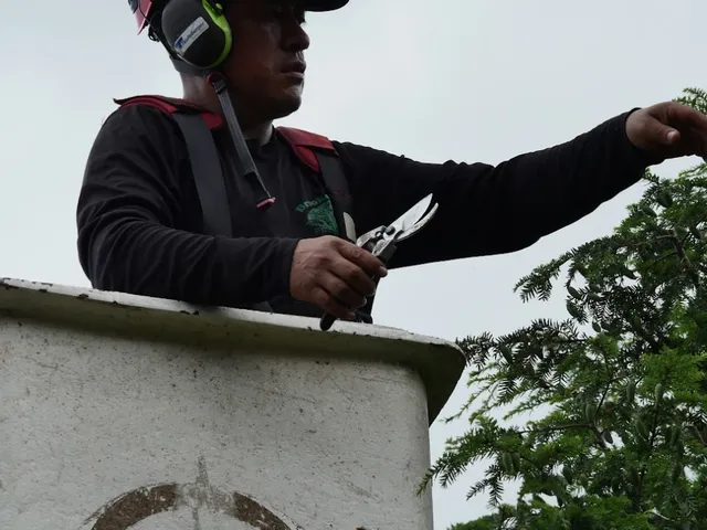 Pruning cover photo