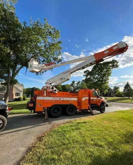 work photo from robachtreeservice.com