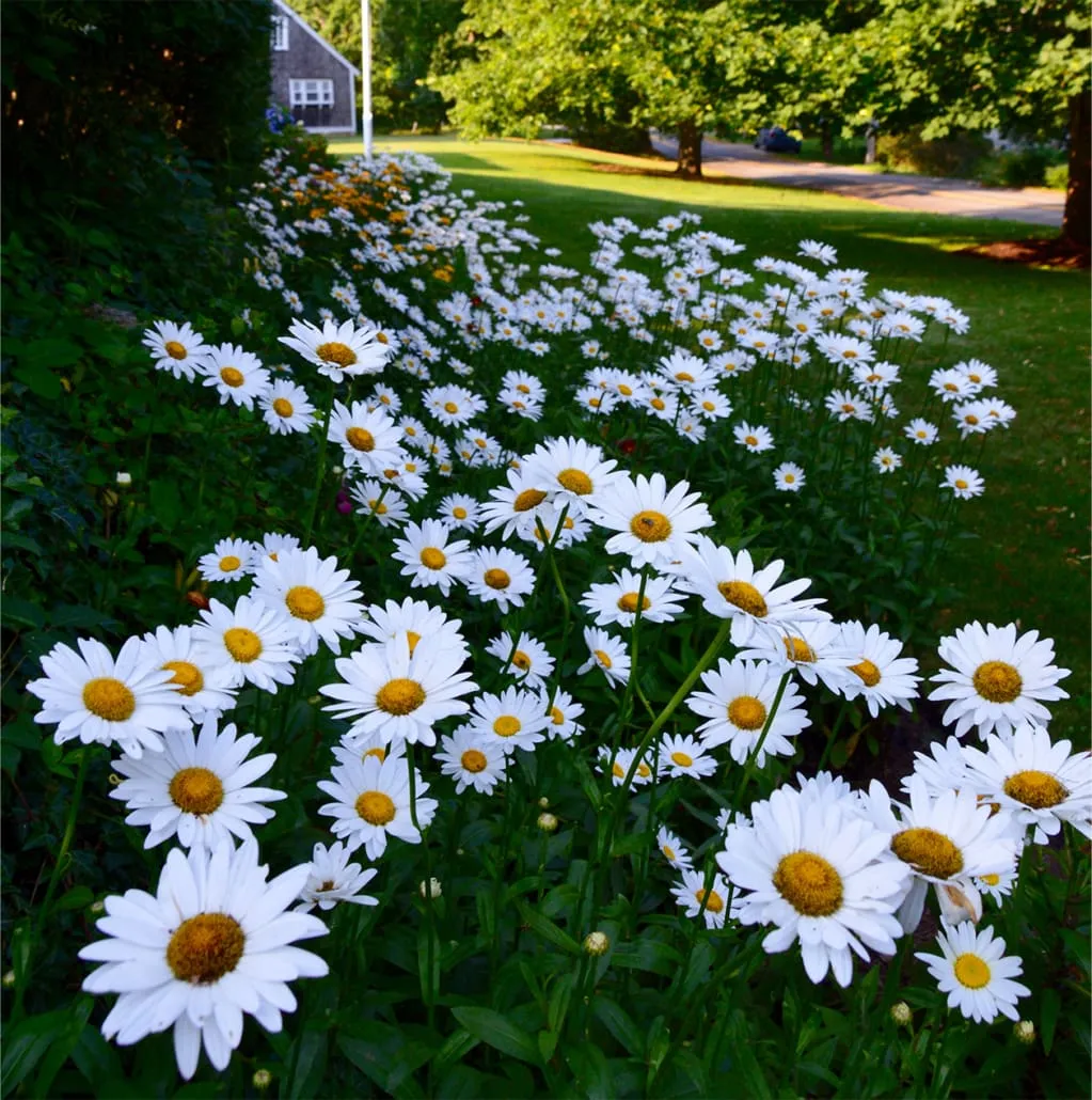 work photo from cmslandscape.com