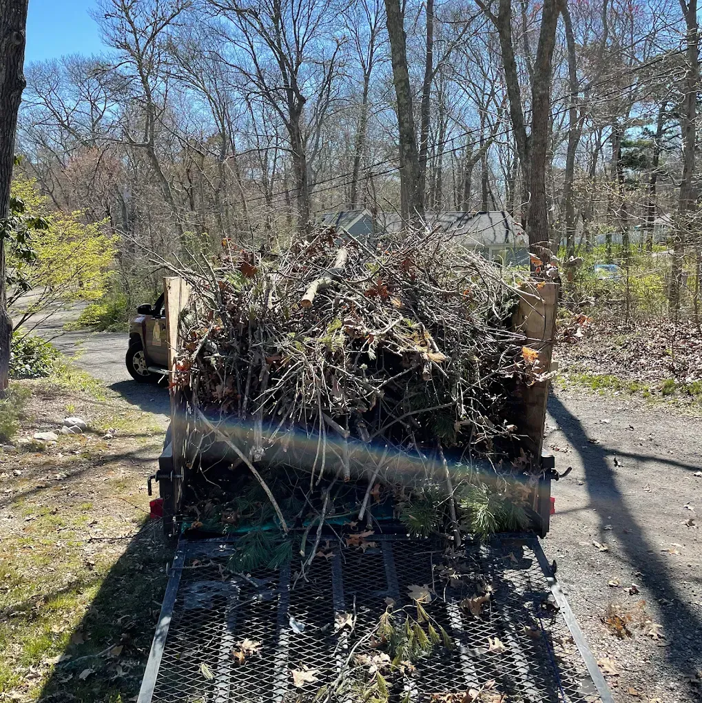 Brush Removal in New Bedford