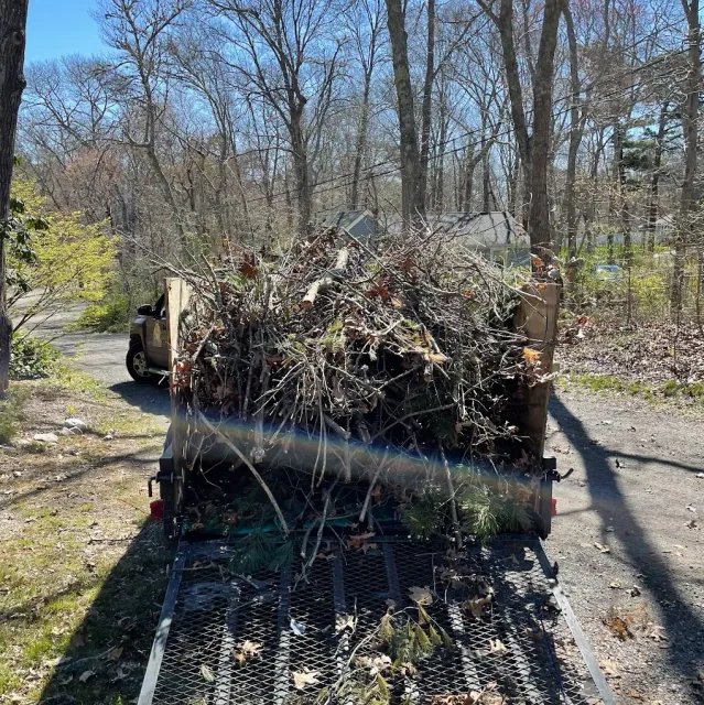 Brush Removal in New Bedford