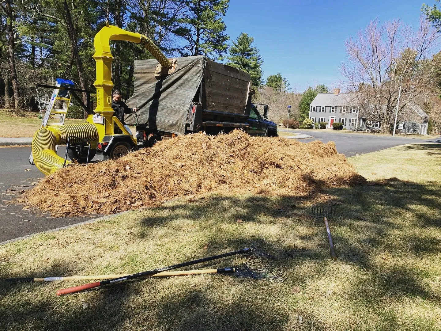 work photo from Google listing