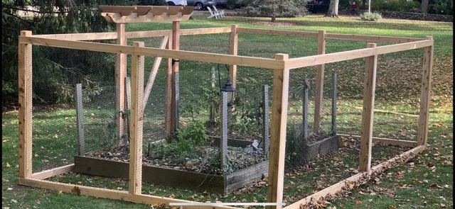 Cedar-framed garden fence with chicken wire and a pergola arbor over the gate, on an autumn lawn.