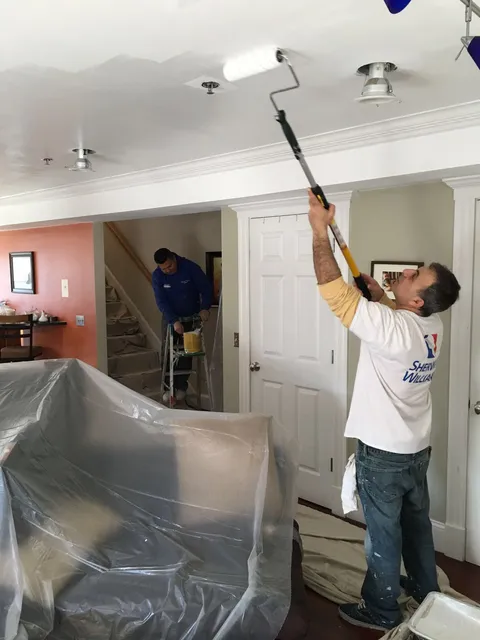 Advance Painting work photo