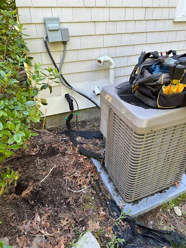 Review photo by Paul Degnan