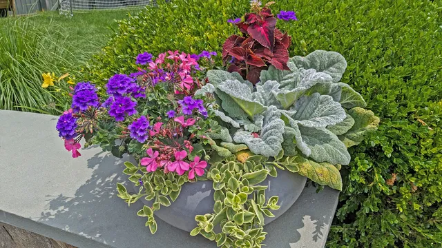 work photo from gregorylandscapes.com