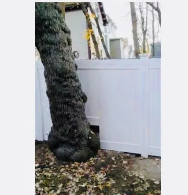 work photo from thefencedoctors.com
