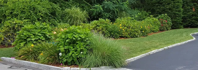 Cape Cod Landscape Contractors