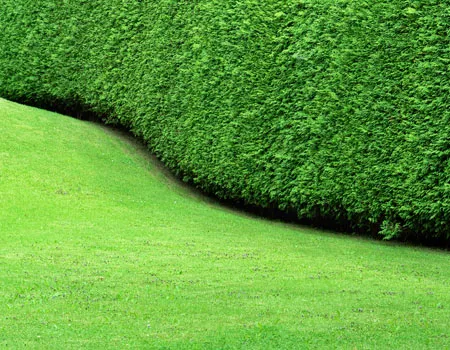 work photo from masslandscapinginc.com