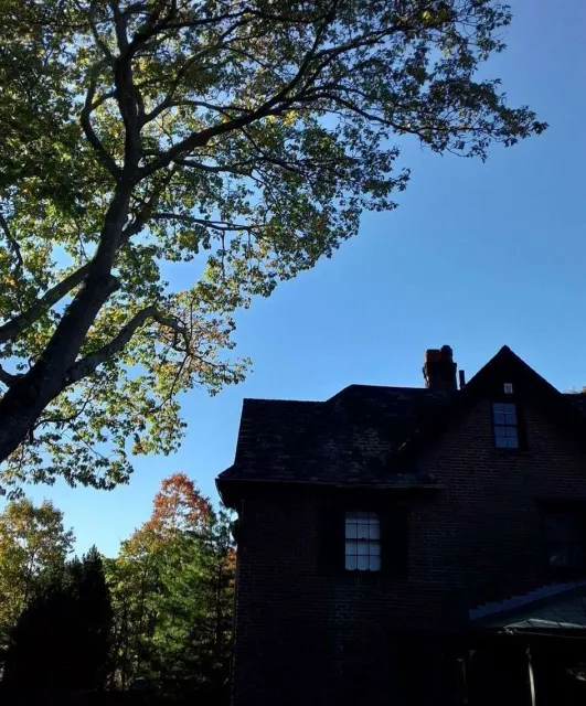Brick house under clear blue sky with trees.