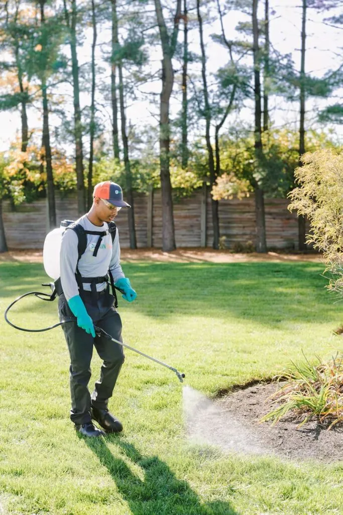 pest control services