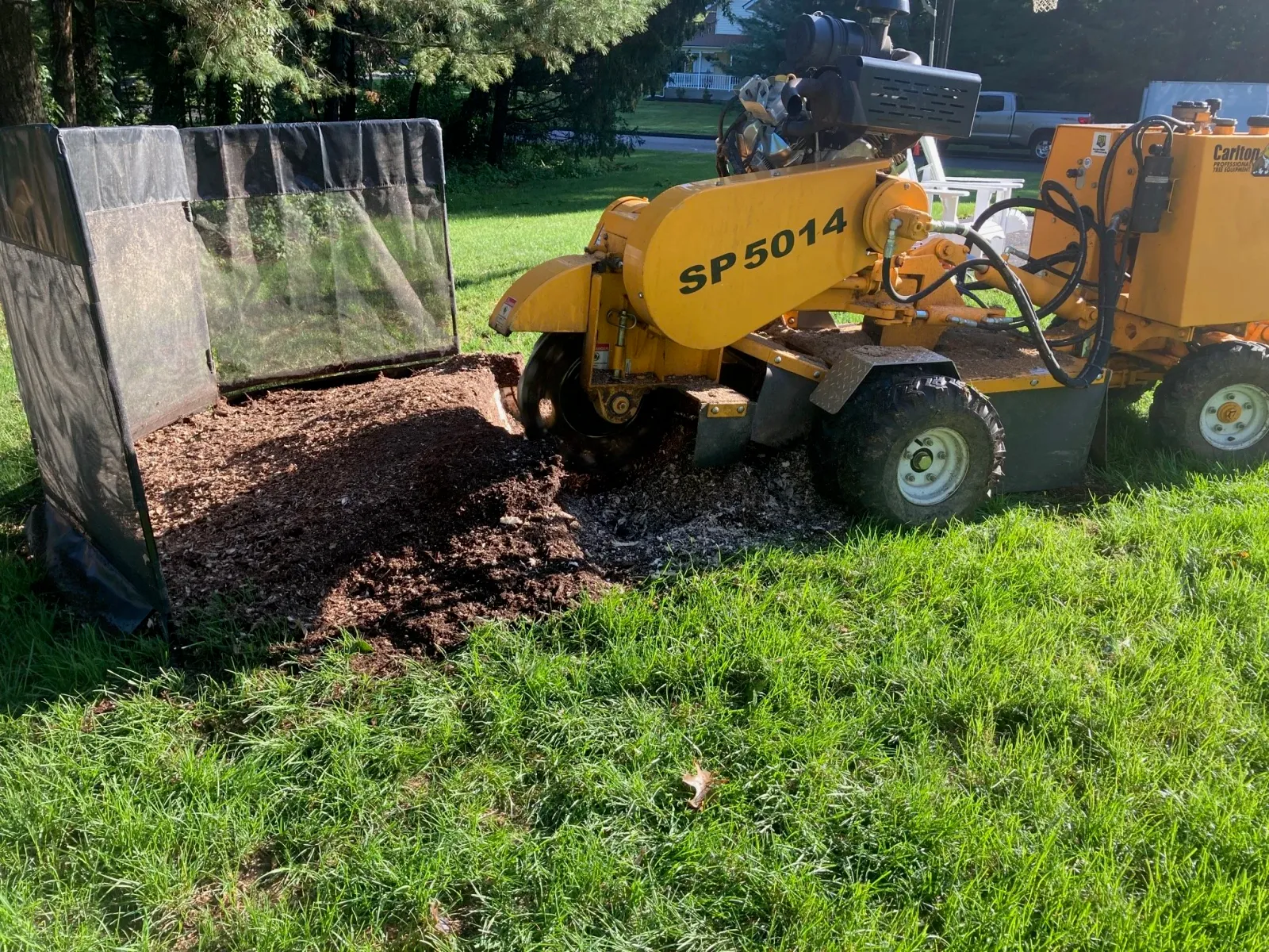 work photo from downtoearthstump.com