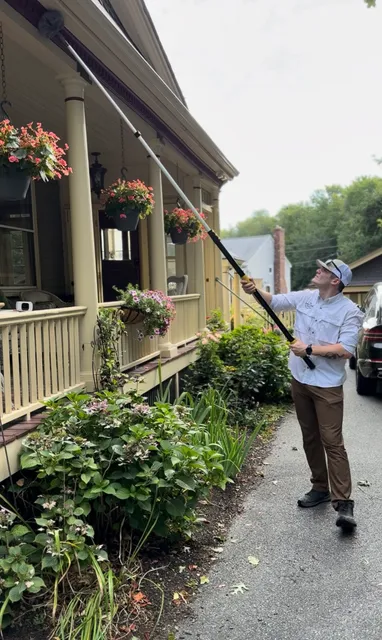 Eastern Pine Pest Control