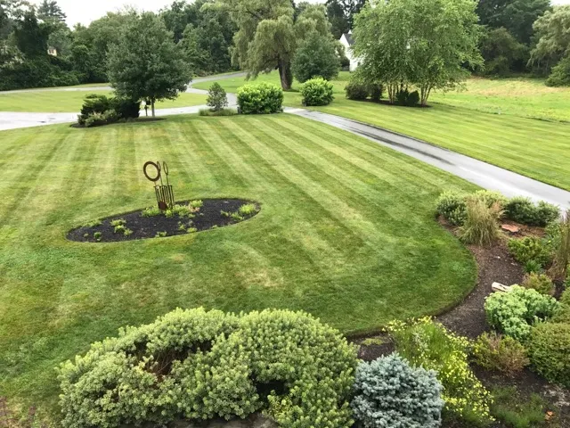 IDEAL LANDSCAPING INC