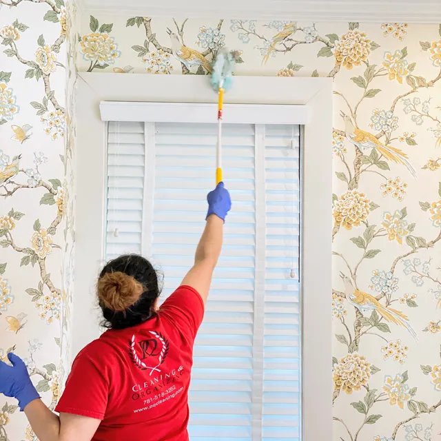 Premium Quality Cleaning work photo