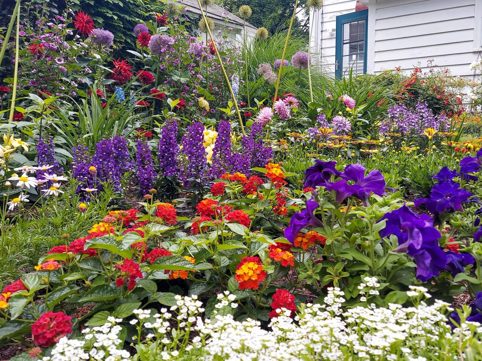 sun gardens