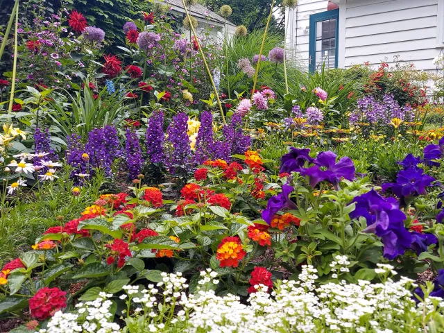 sun gardens