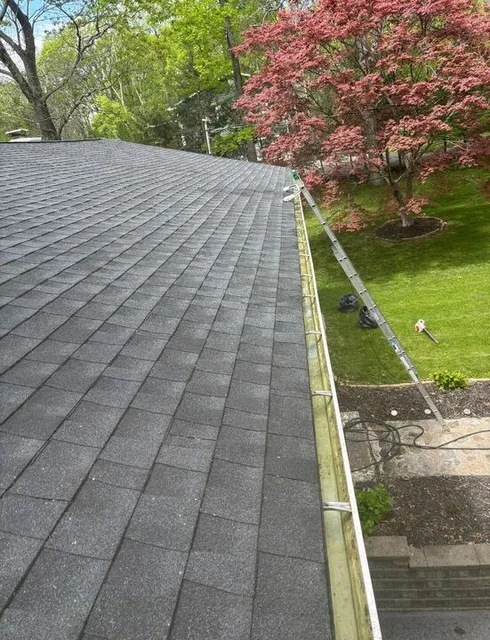 Gutter and roof maintenance