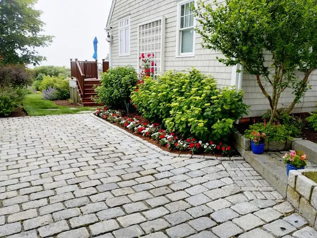 Pine Tree Landscaping & Nursery work photo