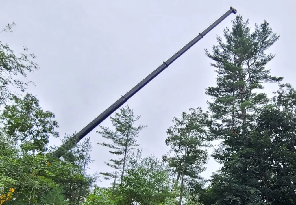 Tree care services by Notch Your Average Tree Service, showcasing tree trimming and maintenance for residential properties.