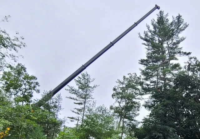 Tree care services by Notch Your Average Tree Service, showcasing tree trimming and maintenance for residential properties.
