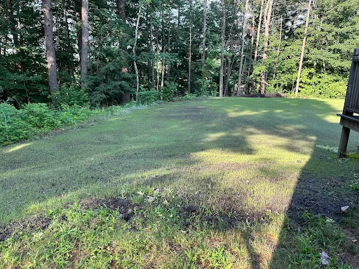 Rys Outdoor Services LLC work photo
