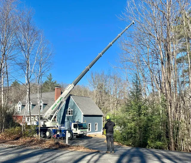 work photo from technicaltreeservice.com