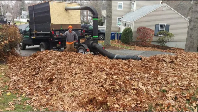 work photo from cuttingedgelandscapeservice.net