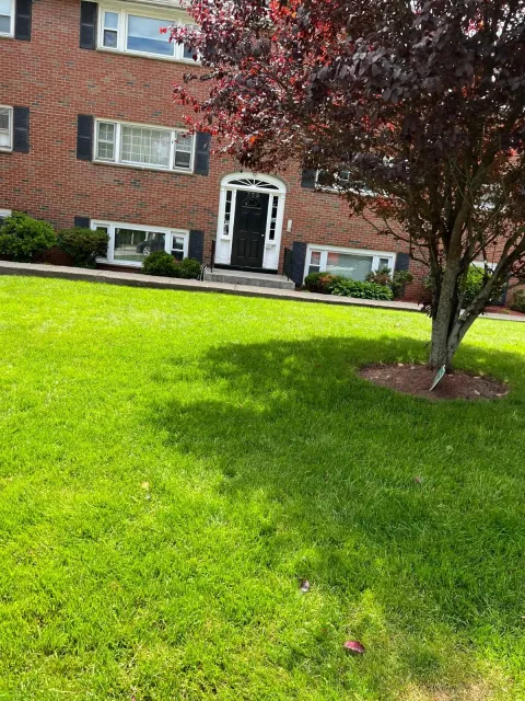 Brick apartment building with a white front door, green lawn, and a tree casting shade in front.