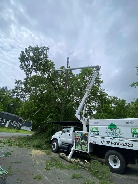 Bucket truck trimming trees beside a road under a cloudy sky