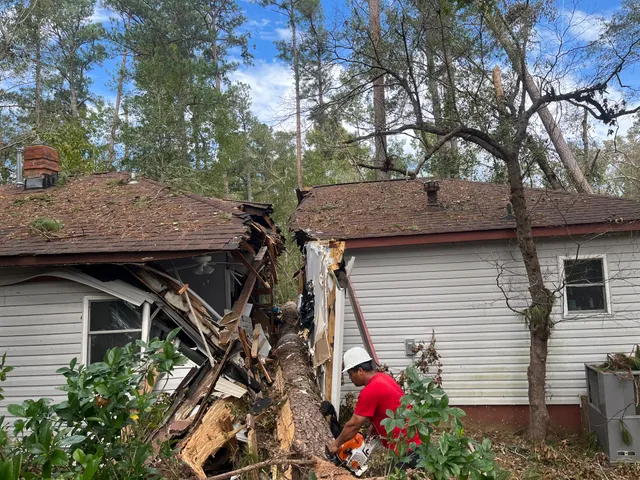 Shady Shelton Tree Service work photo