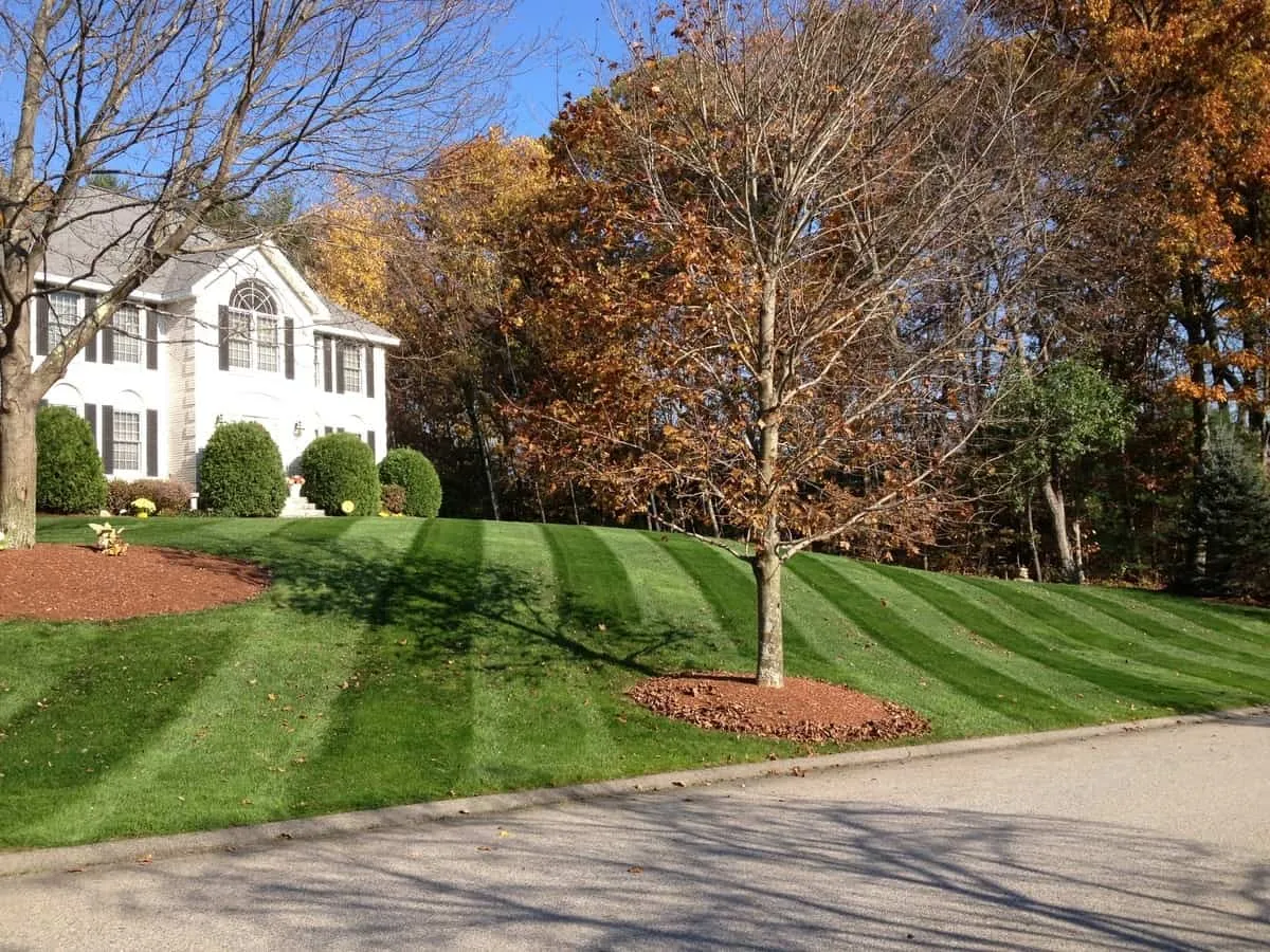 work photo from randalllandscaping.com