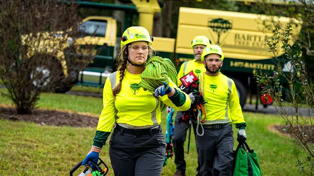Bartlett Tree Experts work photo