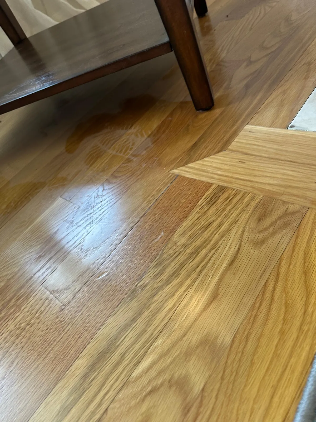 MGS Cleaning Services - Cape Cod, Commercial and Residential
