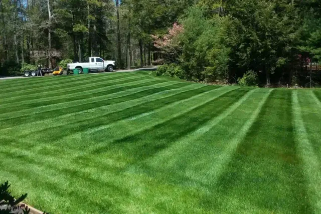 5 Essential Tips for Preparing Your Lawn for Spring